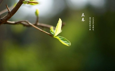 2019年立春出生的男孩缺土取名怎么起？