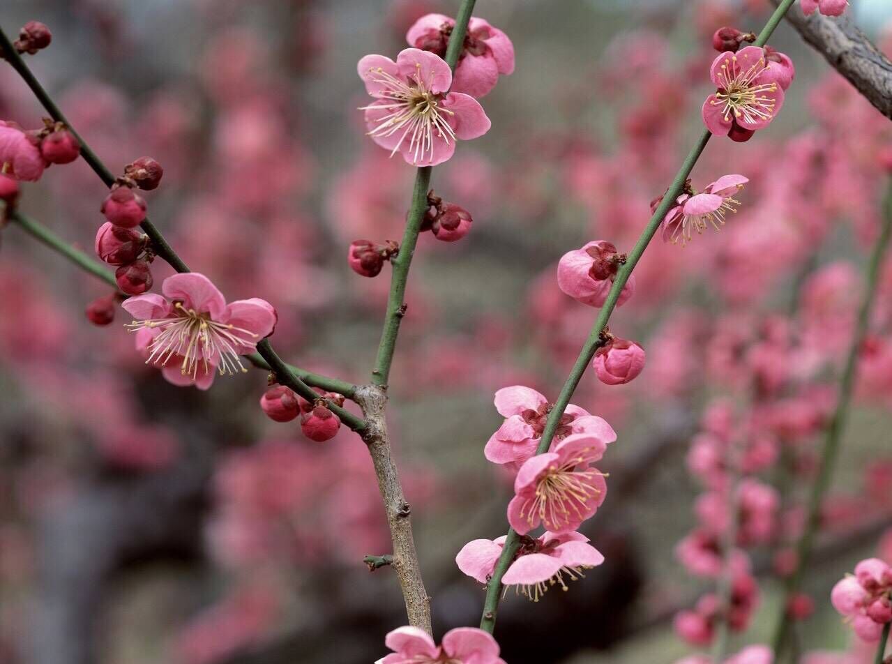 2019猪年教师节出生的女宝宝起什么名字好，五行属什么