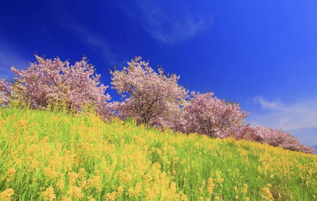 5月2号晚上十点出生的女孩儿如何起名，应该用什么字