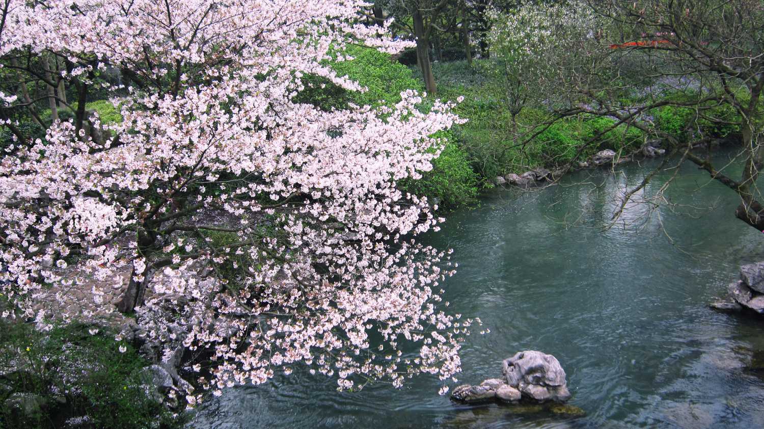 5月11号中午12点出生的女孩如何起名，名字里可以有哪些字