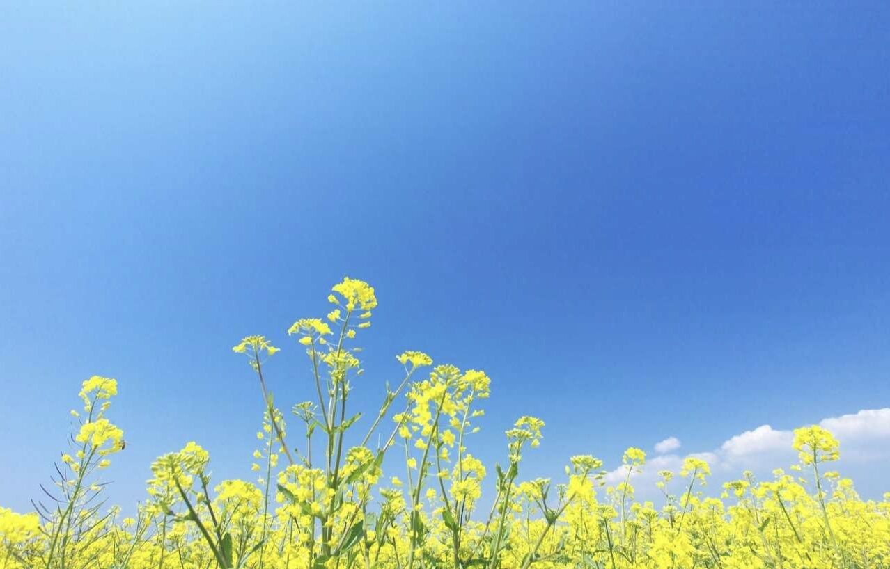 5月2号晚上12点出生的女孩如何起名，应用什么字