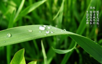 020年雨水出生女孩五行缺金起名有哪些好的推荐？"