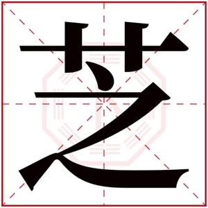 芝字的女孩名字 名字末尾带芝的女孩名字