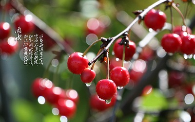 020年2月19日雨水节气出生男孩五行缺金起名"