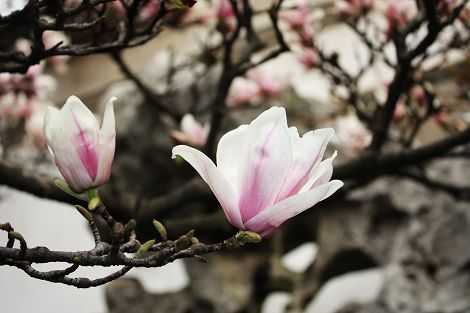 儿童节出生的女宝宝格好吗，起什么名字好听