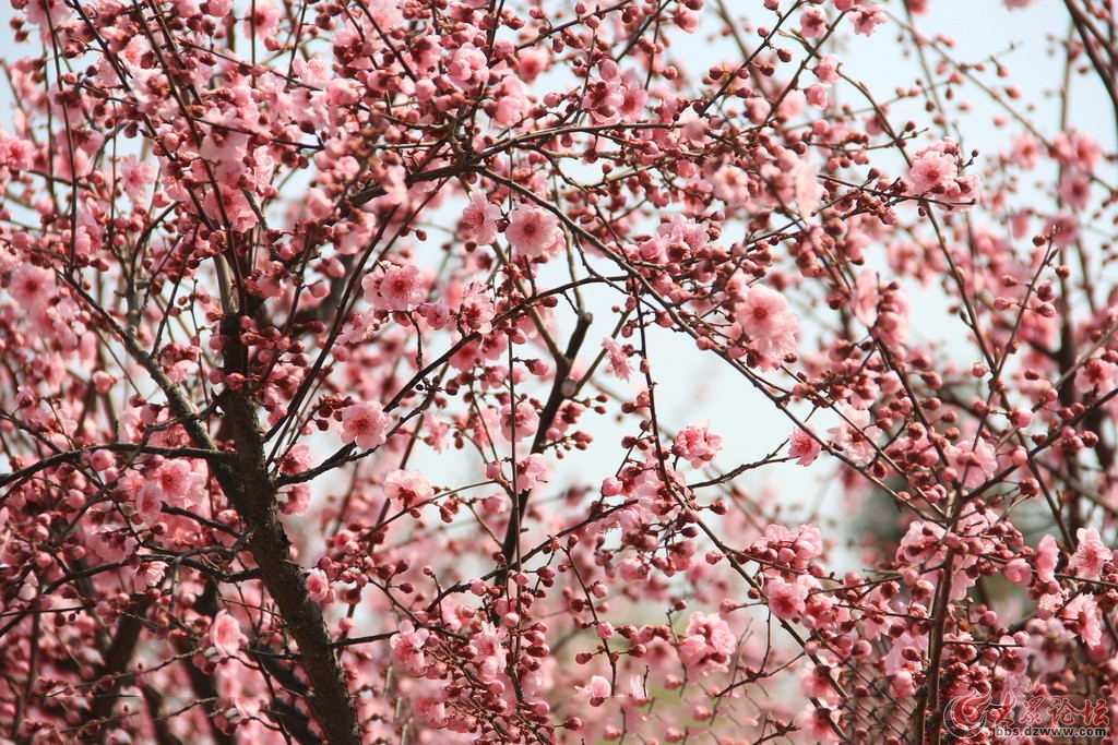 5月17号晚上12点出生的女孩如何起名，常用字