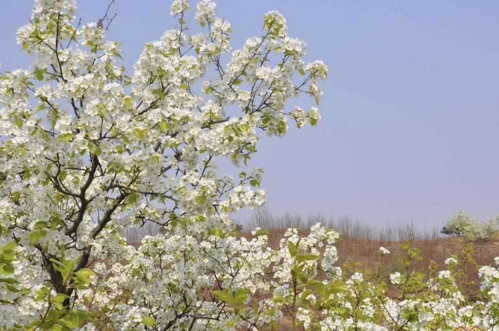 2019年4月5号出生的女孩起什么名字比较好，宜用什么字