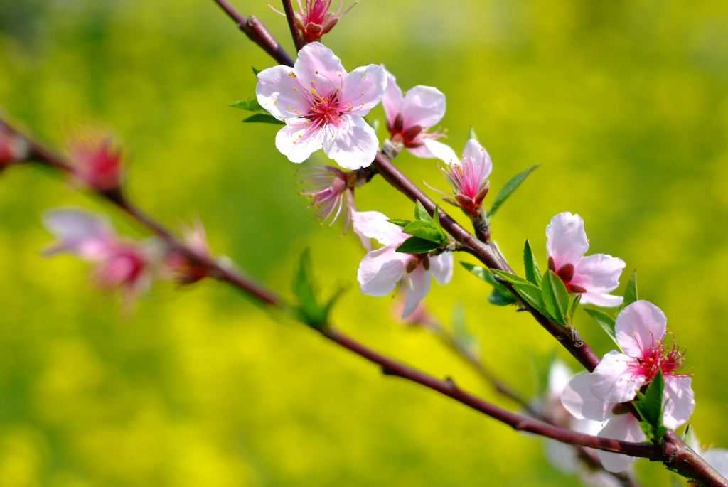 教师节出生的男宝宝怎么样起名字