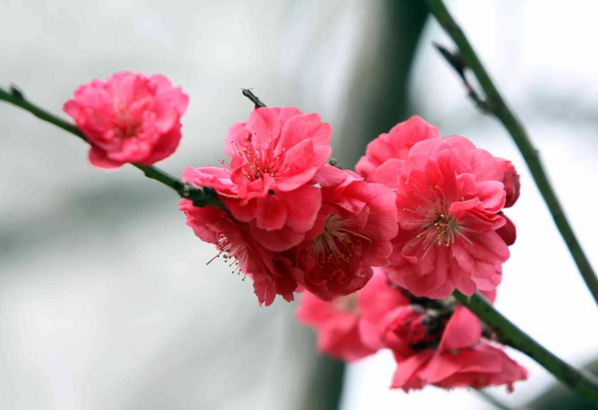 5月15号晚上10点出生的女孩如何起名，好名推荐