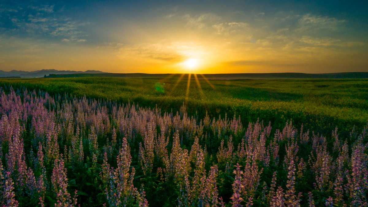 教师节中午出生的男宝宝起什么名字好