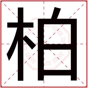 缺木男孩取名用柏字 柏字取名男孩吉利