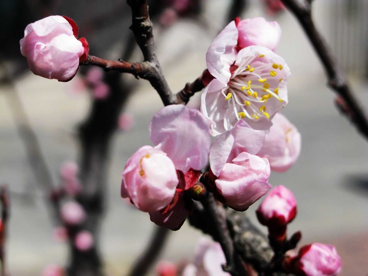 5月17号晚上10点出生的女孩如何起名，好名推荐