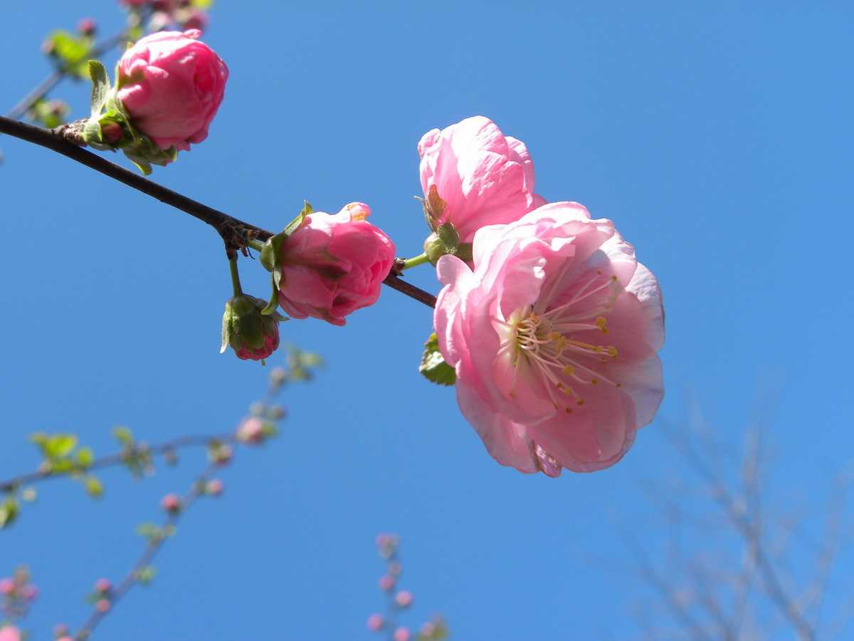 5月15号下午5点出生的女孩如何起名，起名常用字