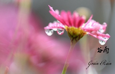 020鼠年谷雨出生女孩五行缺水名字洋气有内涵的"