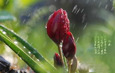 五行起名：2020年雨水节气出生男宝宝缺火起名大全