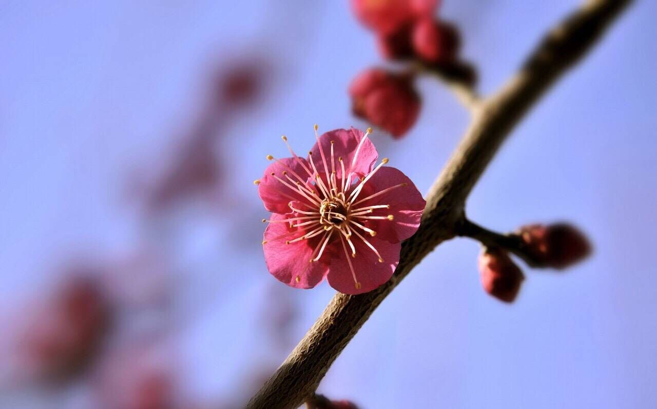 2019猪年教师节出生女宝宝五行缺金要如何起名字