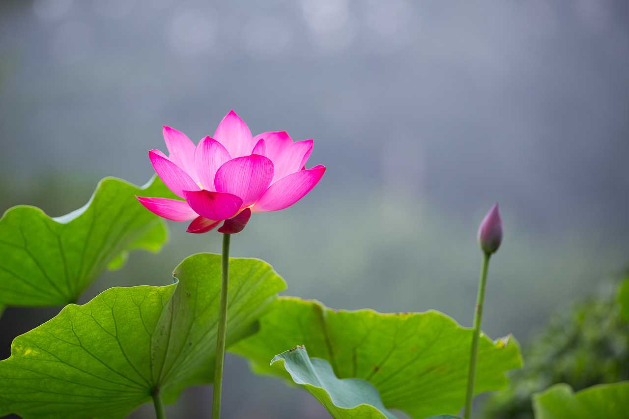 重阳节出生的男宝宝怎么样起名字