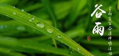 2019猪年谷雨节气出生的女孩五行缺金起名