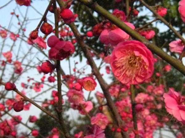 建军节早上出生的女宝宝起什么名字好