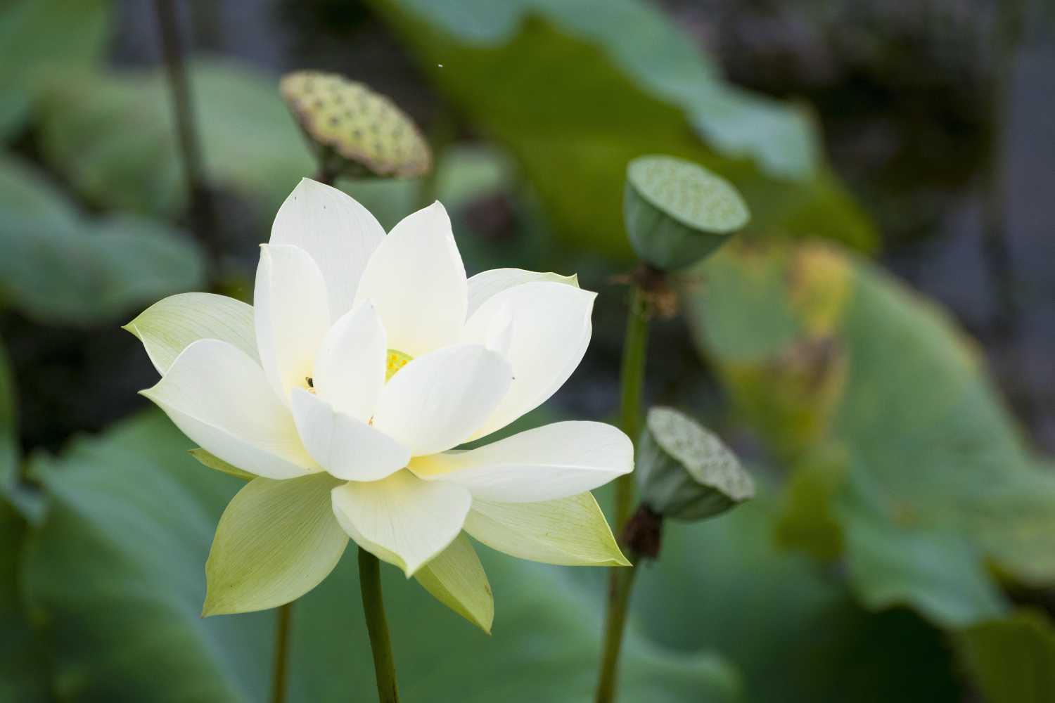 2019年重阳节出生的男宝宝五行缺木要如何起名字