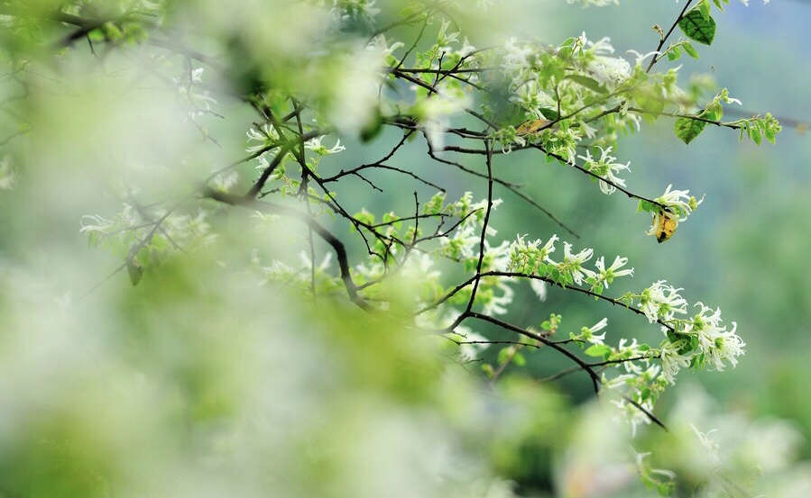 2019年3月3号出生的女宝宝五行缺火怎么起名，宜用什么字