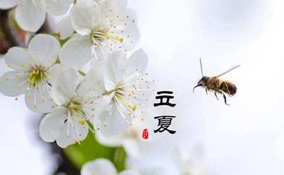 020年5月5日立夏出生的鼠宝宝五行缺什么