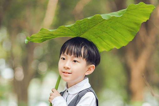 安姓男孩起名鼠年 安姓男孩取名大全鼠年