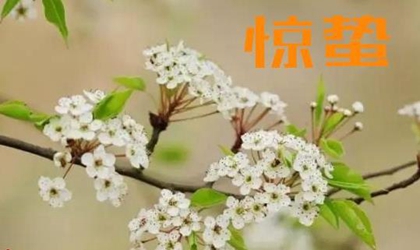 2021年3月5日惊蛰出生牛宝宝五行起名 惊蛰出生命硬吗