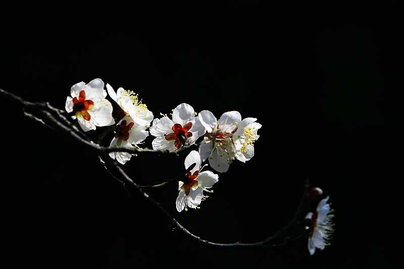 5月12号上午11点出生的女孩如何起名，起名方法