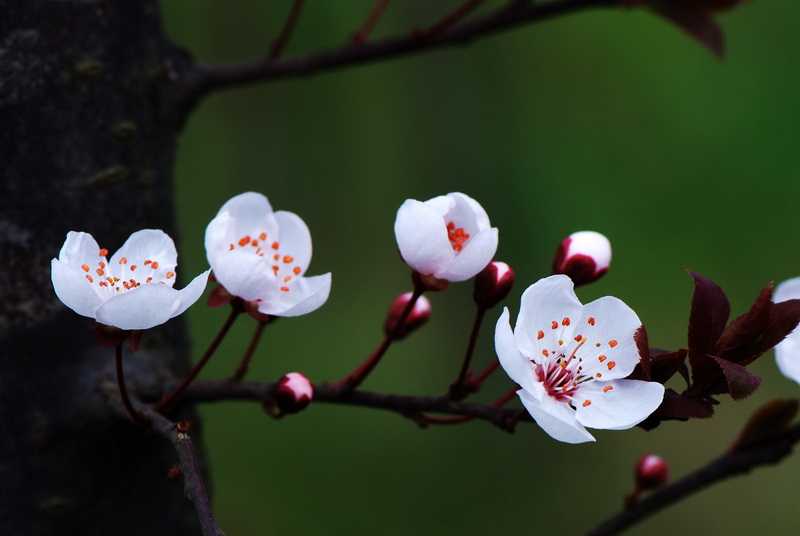 儿童节出生的女宝宝起名方法，宜用什么字