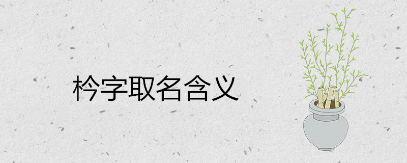 枔字在名字中的含义及意思 搭配什么字取名好