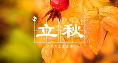 2019年立秋8月8日出生女孩八字缺木取名诗经带木的名字！