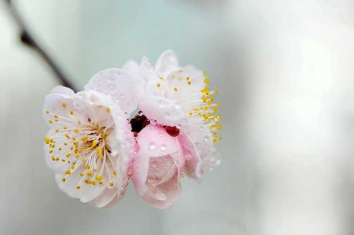 2019年父亲节是几月几号，青年节出生的女宝宝起什么名字好