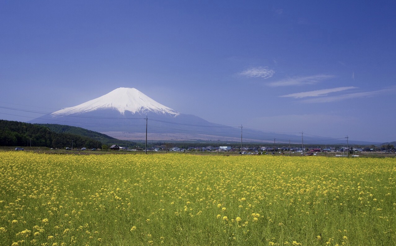 公历2019年4月17号未时出生的女宝宝起名方法有哪些，宜用什么字