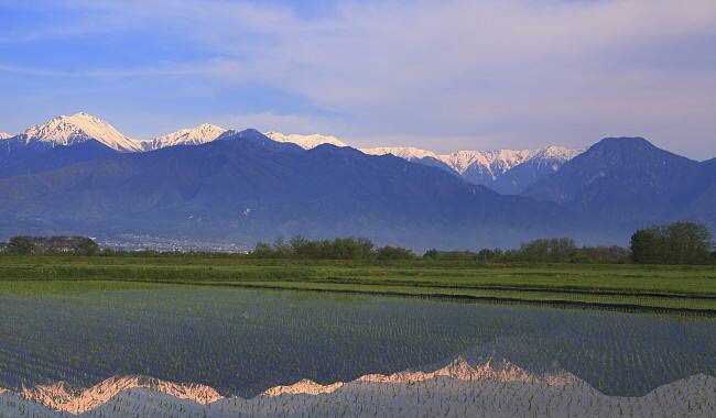 2019年4月10号出生的女宝宝五行缺水怎么起名，宜用什么字