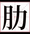 肋字五行属什么 肋字在康熙字典里多少画 肋字起名的寓意含义