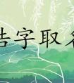 浩字结尾取名男孩名字有哪些