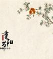 2020年九月九日重阳节出生五行缺木的男孩起名推荐！