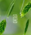 2019年阴历三月十六（4月20日）谷雨出生宝宝小名推荐！