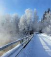 2019年大雪独特不常见男孩名，八字喜木带祎字男孩起名2019！