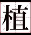 植字五行属什么 植字在康熙字典里多少画 植字起名的寓意含义