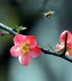 5月1号晚上12点出生的女孩怎么样起名字