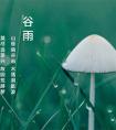 2021年4月20日谷雨出生男孩宜用什么字 谷雨出生男孩起名