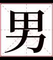 男字五行属什么 男字在康熙字典里多少画 男字起名的寓意含义