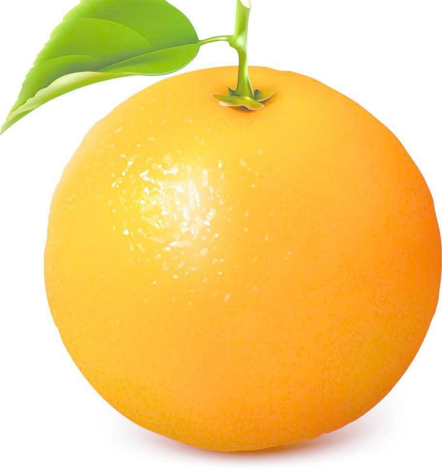橙子的英文名_橙子用英文怎么读_橙子的英文怎么读