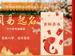 属猪的可以取个什么网名最吉利，2020吉祥网名的秘密