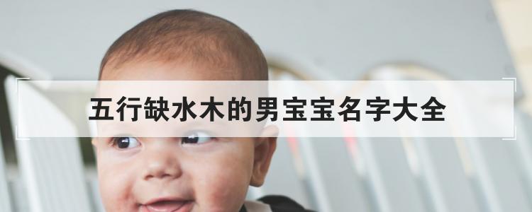 五行缺水木的男宝宝名字大全