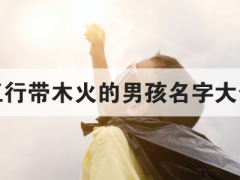 五行带木火的男孩名字大全