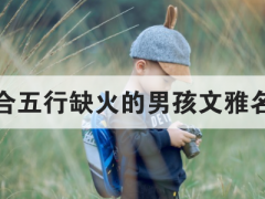 适合五行缺火的男孩文雅名字