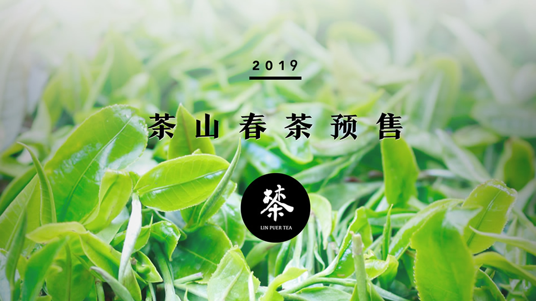 茶叶公司取名_茶叶公司取名高雅_茶叶公司取名